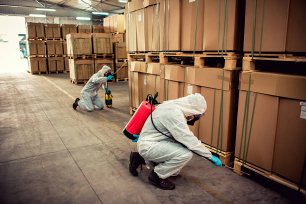 Best Flea Control Services  in Summerde, AL