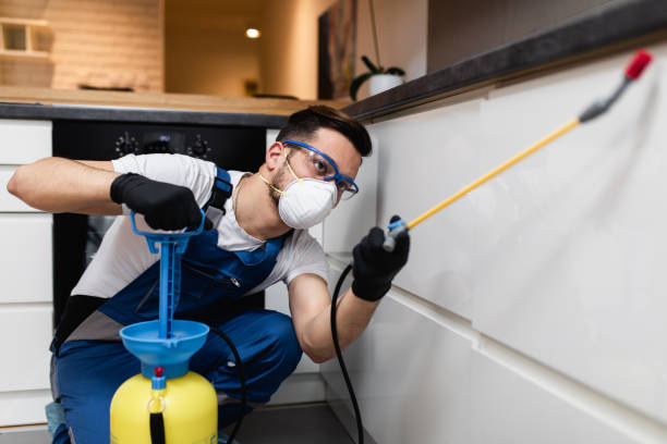 Best Pest Prevention Services  in Summerde, AL