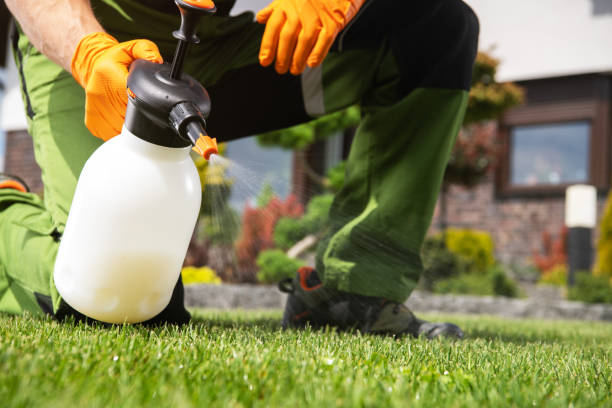 Best Termite Control Services  in Summerde, AL