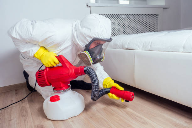 Best Wasp Removal Services  in Summerde, AL