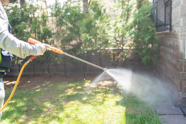 Best Best Pest Control Companies  in Summerde, AL